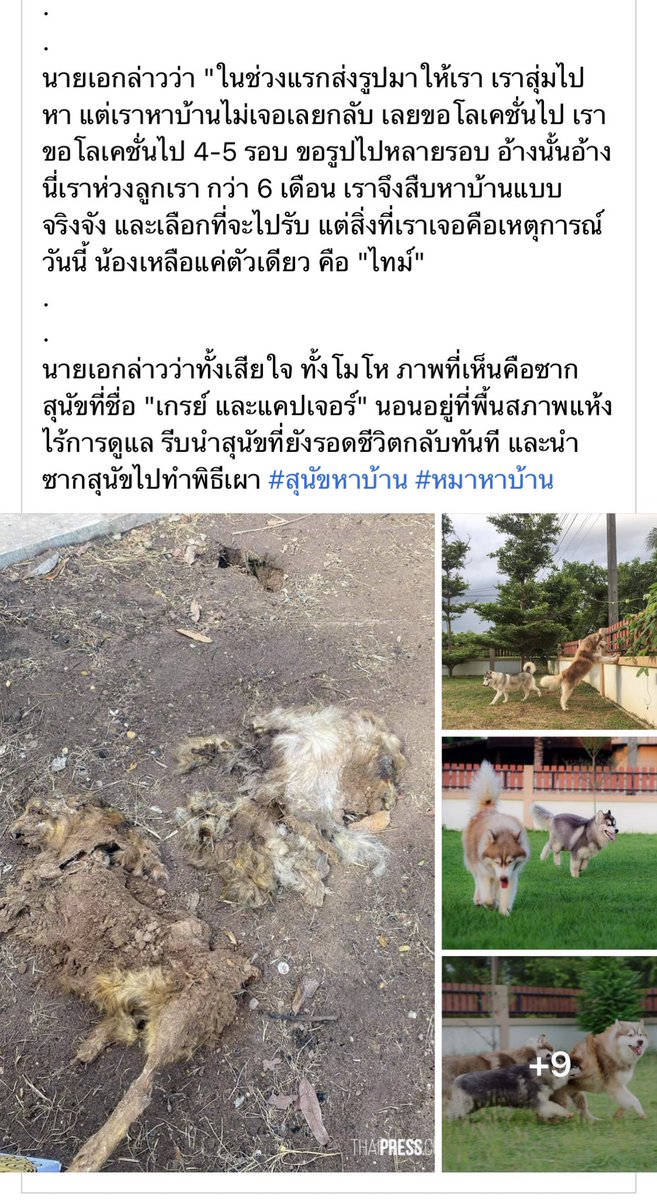 prd_mood tweet media