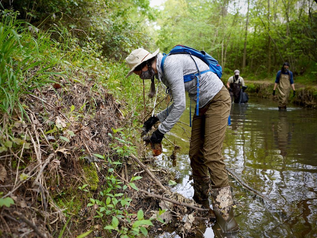 NCStateAEC's tweet photo. The @NCStateAEC gang was out in Rocky Branch Creek for a, socially-distanced, stream clean! Thanks to everyone who turned up on this cool, beautiful Saturday morning to help keep our streams healthy and a special thanks to graduate student, Ámbar Torres Molinari, for organizing! https://t.co/VmAlKLbj3X