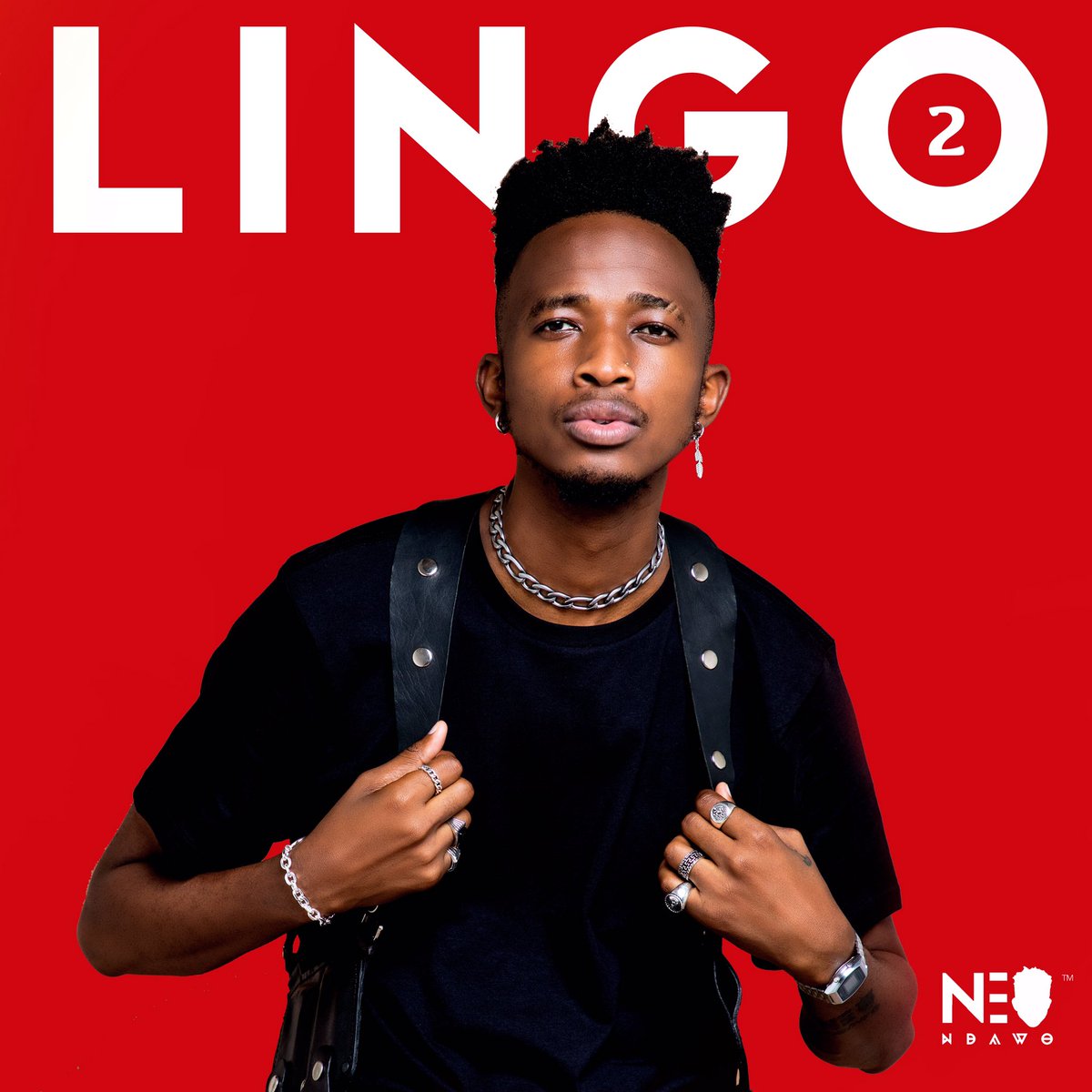 Yashna_Int's tweet photo. @NdawoNeo has officially dropped!!
Stream/Download #Lingo2 here: https://t.co/5A6kUiNsnn https://t.co/WnAdCtUDth