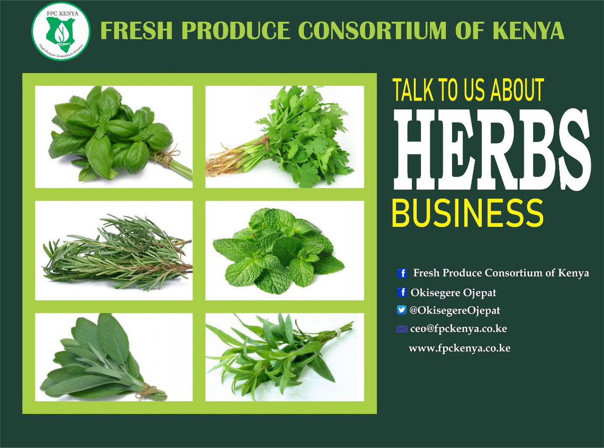 Let's talk Herbs Business