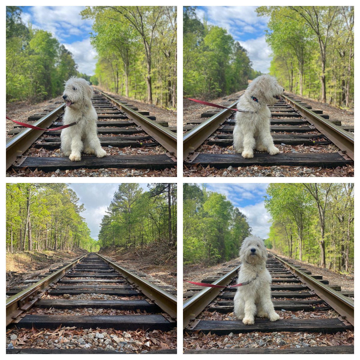 Marcy_Doderer tweet media