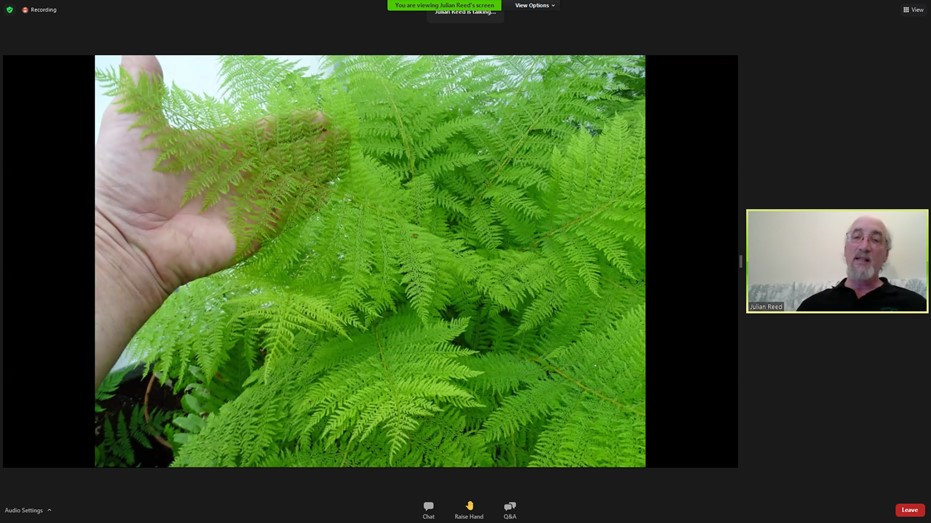 British Pteridological Society (@fernbps) on Twitter photo Nice to meet friends from 'across the pond' this evening, with Julian Reed giving a great lecture on Athyrium cultivars, linking up <a href="/FernBPS/">British Pteridological Society</a> and the Hardy Fern Foundation. #Athyrium #Ferns Nice to meet friends from 'across the pond' this evening, with Julian Reed giving a great lecture on Athyrium cultivars, linking up <a href="/FernBPS/">British Pteridological Society</a> and the Hardy Fern Foundation. #Athyrium #Ferns