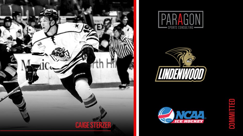 Paragon Sports Consulting tweet media