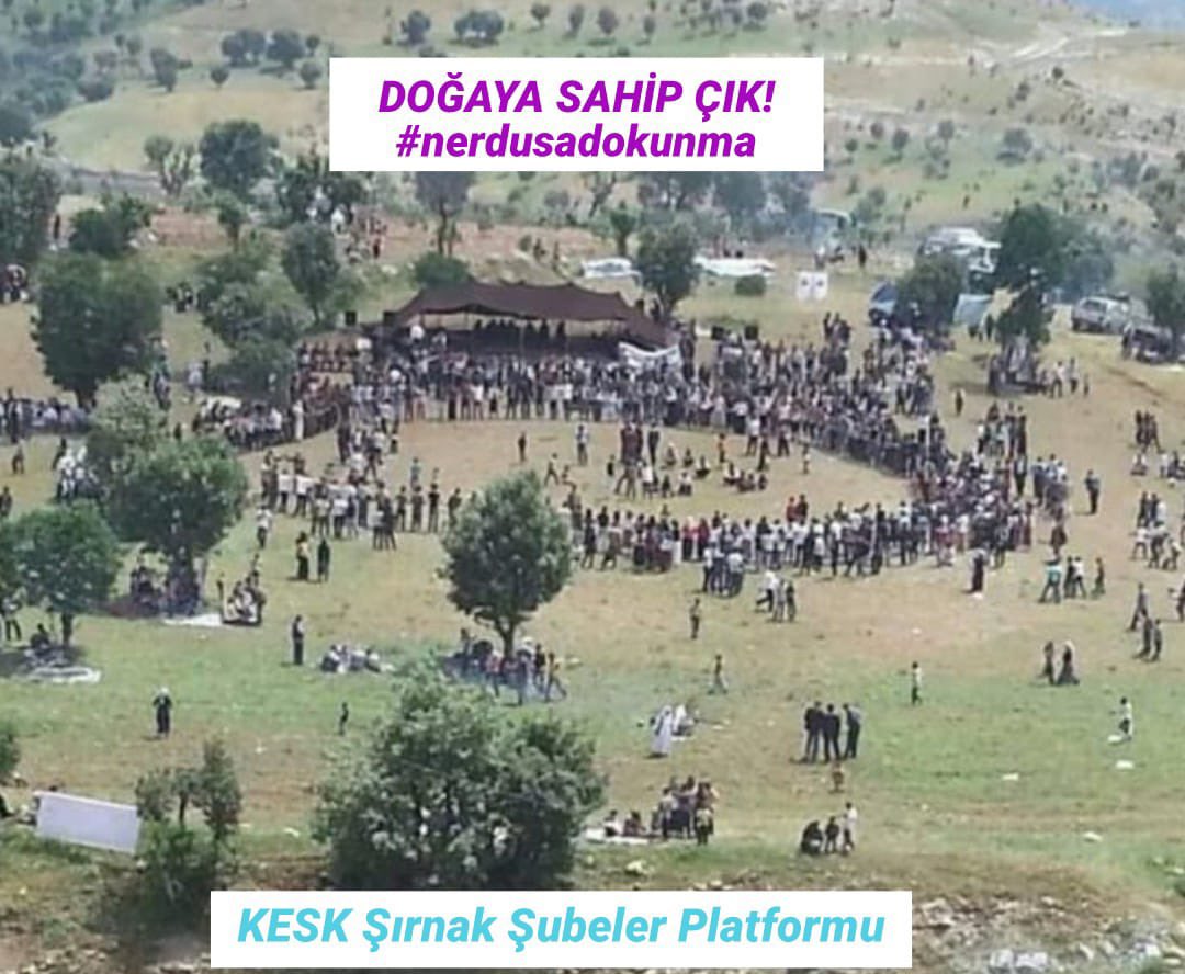 mhmmdaraz's tweet photo. #nerdusadokunma doğa nefes alırsa biz de nefes alırız. #Nerdus deresi özgür aksın. https://t.co/oo1cgiHKRJ