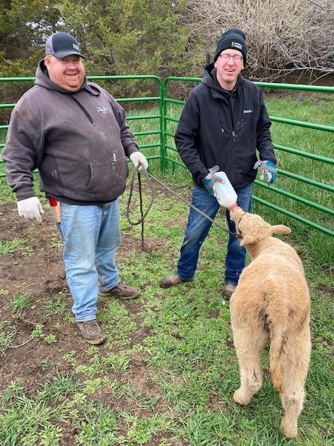 Ann K. Slechta tweet media