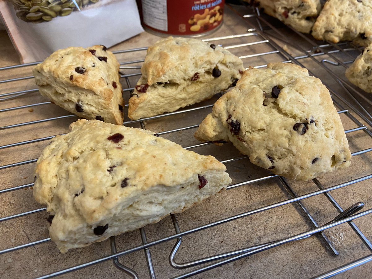 Guylafur's tweet photo. Tried another new recipe: cranberry chocolate scones. Delicious . #Studabaker https://t.co/xAUsSIH2iU
