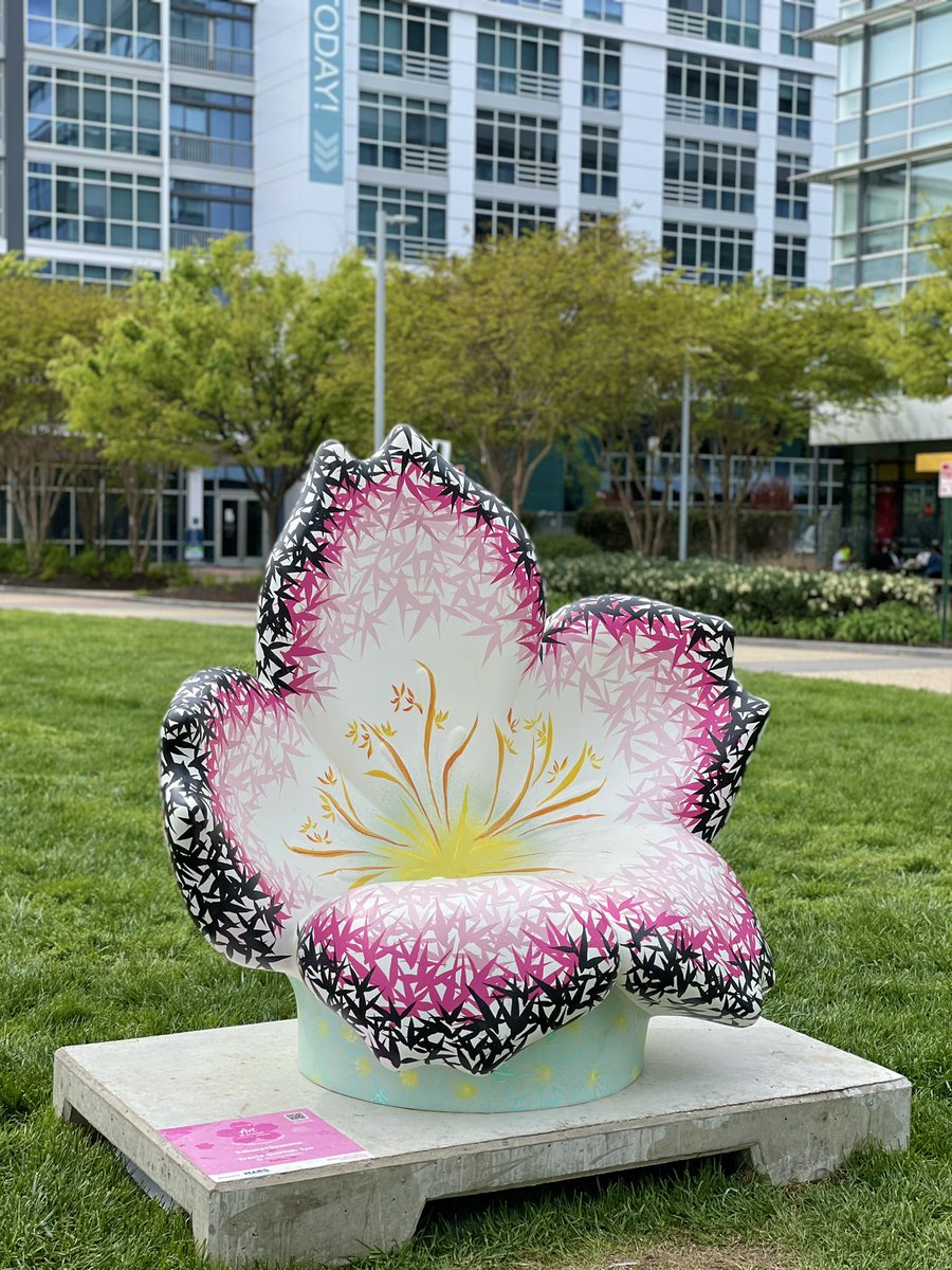 Devin Dotson tweet media