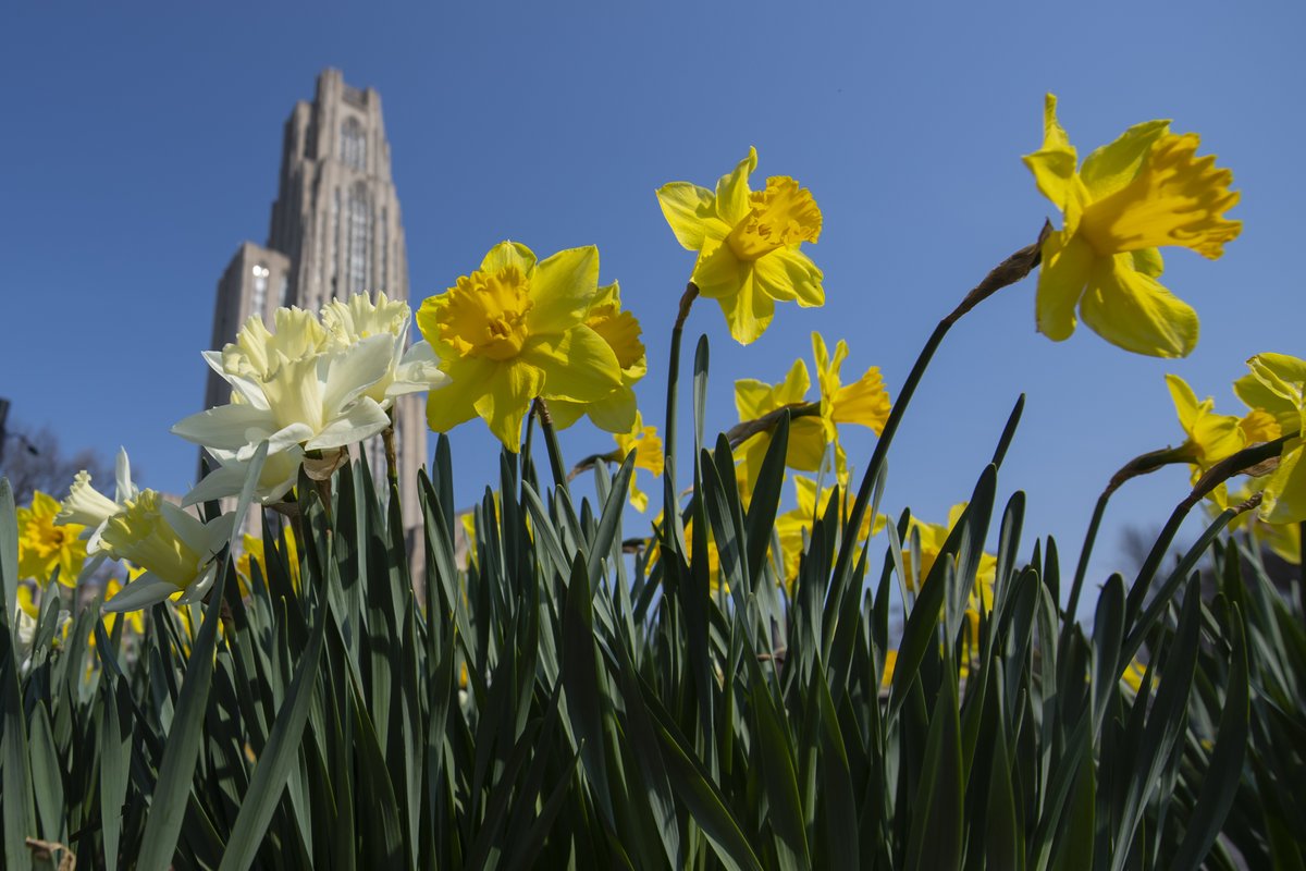 Raise your hand if spring is your favorite season to be on campus 🤚💐