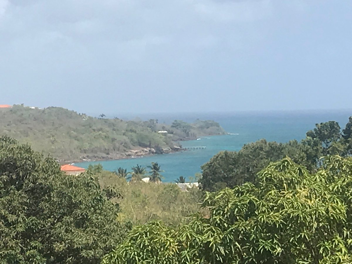 CConconne's tweet image. Joli paysage de Martinique