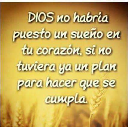 anyfries's tweet photo. La mente crea la semilla del comienzo. https://t.co/Nrx77gDKVP