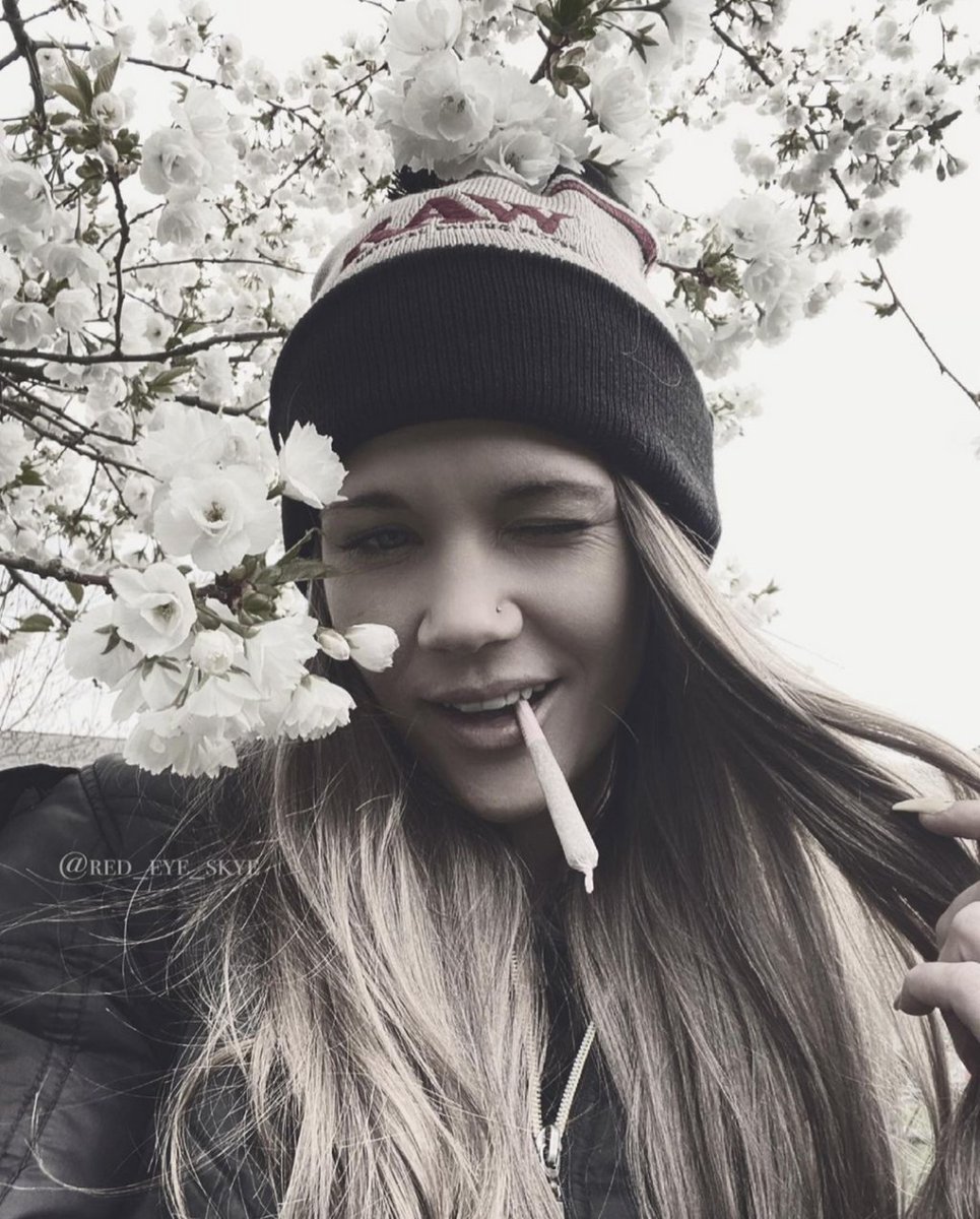 canngaroo's tweet image. Yay Spring 🌼💐💚💨⠀
• ⠀⠀⠀⠀⠀⠀⠀⠀⠀⠀⠀⠀⠀⠀⠀⠀⠀⠀
📸 | @red_eye_skye