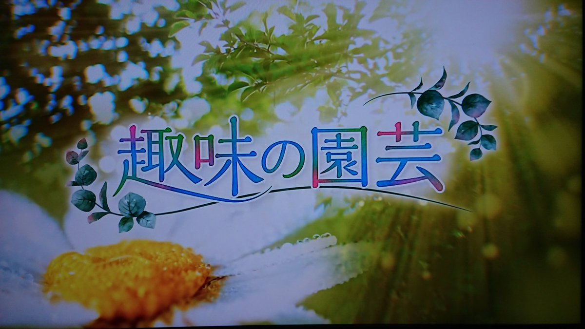 眼が洗われる 癒ししかなかった Nhk 趣味の園芸 で氷川きよしさんを 園芸名人 に育て上げるプロジェクトが始動 Togetter