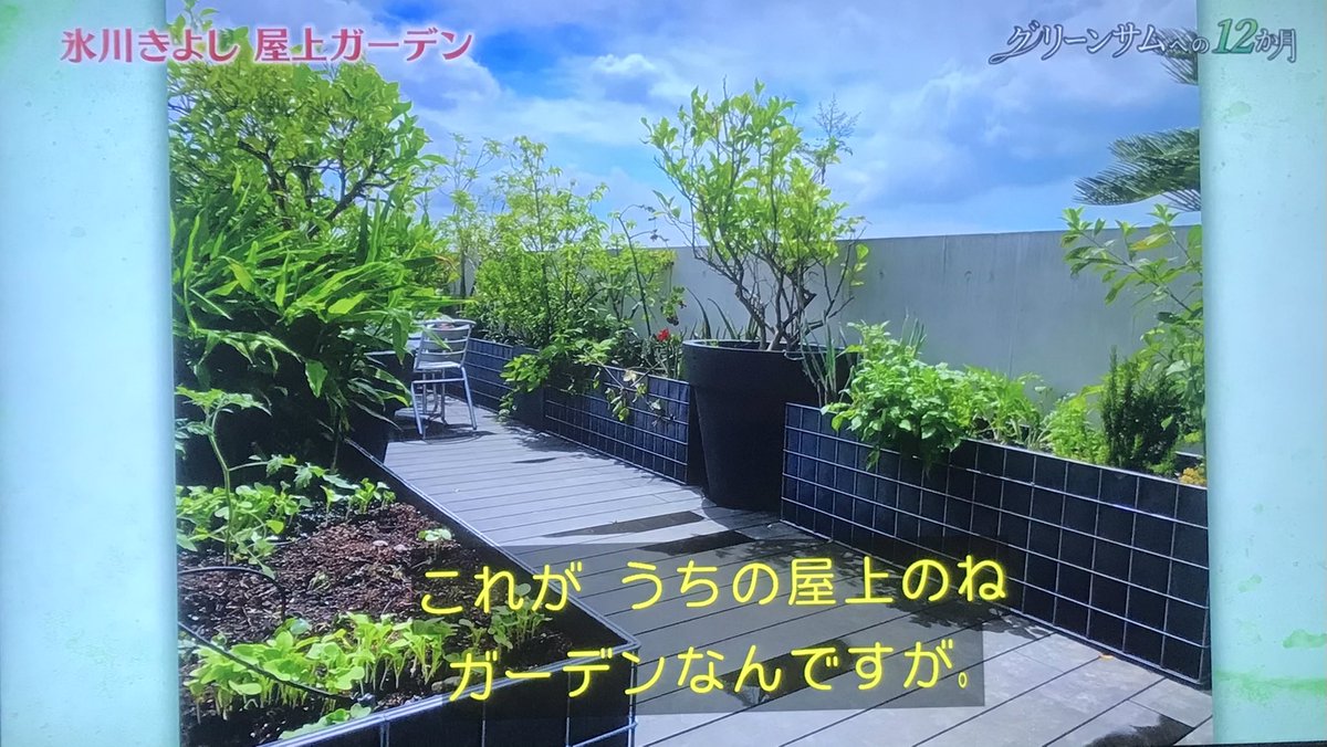 眼が洗われる 癒ししかなかった Nhk 趣味の園芸 で氷川きよしさんを 園芸名人 に育て上げるプロジェクトが始動 Togetter