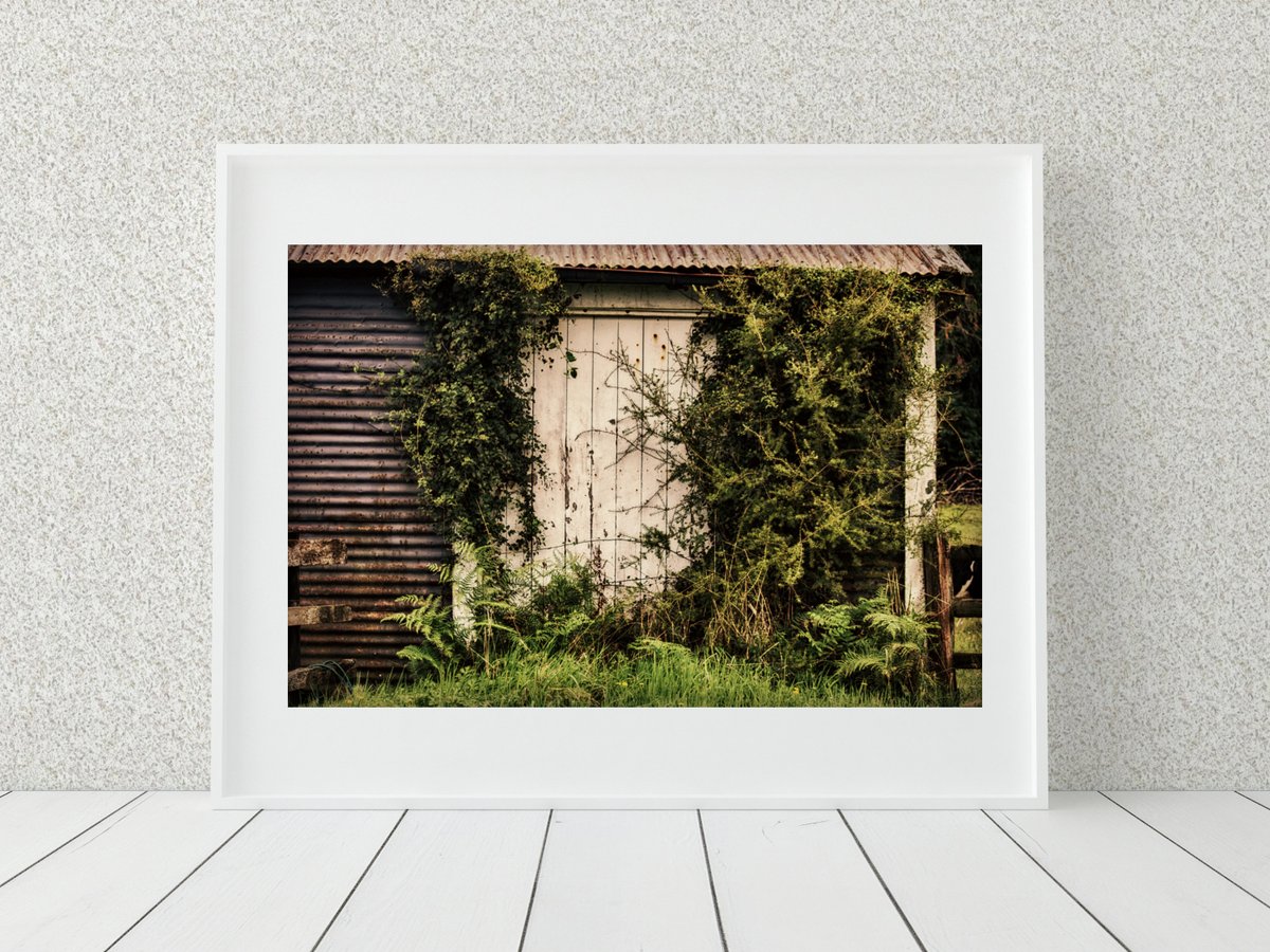 EnfocarPhoto's tweet image. Farmhouse Photo Print, Country Home Decor, New Zealand Print tuppu.net/e5199598 #EnfocarPhotography #Etsy #RusticWallDecor