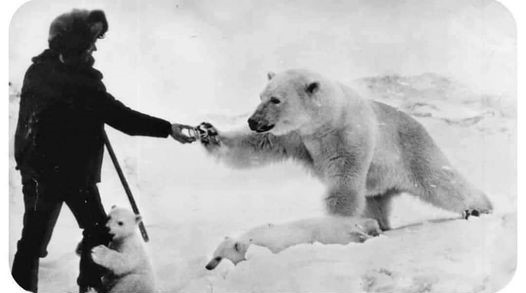 duty2warn's tweet photo. Shooting a bear does not make you a badass. Feeding a bear while her cub hugs your leg makes you a badass.

(photo from 1950's Chukchi Peninsula; thanks to Cara Sikkema, Facebook) https://t.co/kxdbLzrVKM