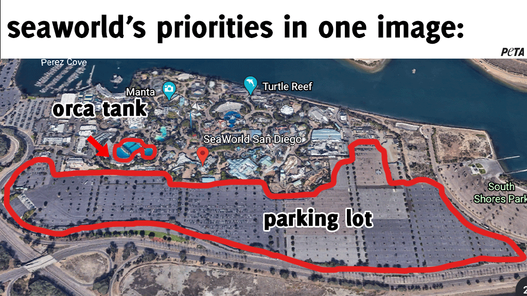 Peta On Twitter A Picture S Worth A Thousand Words Seaworldsucks