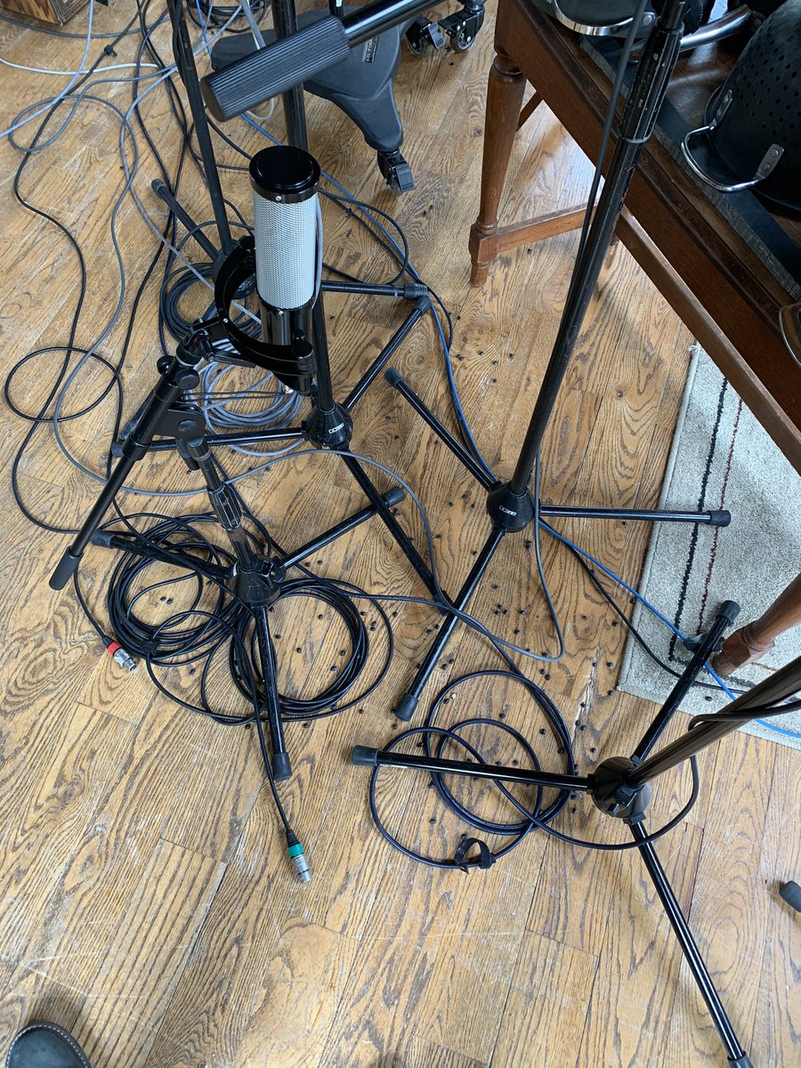 ColorMotive's tweet image. We got the been now we just need the rise!