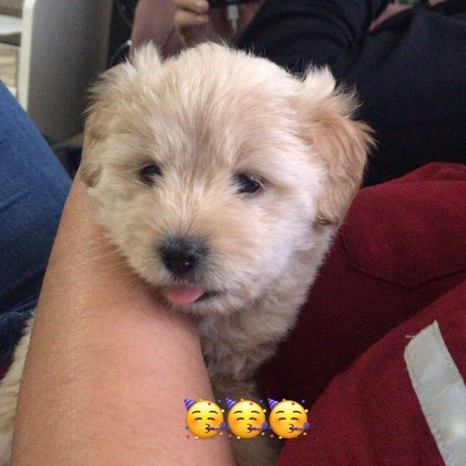 bunu bosverin simdi zuzuya bakın