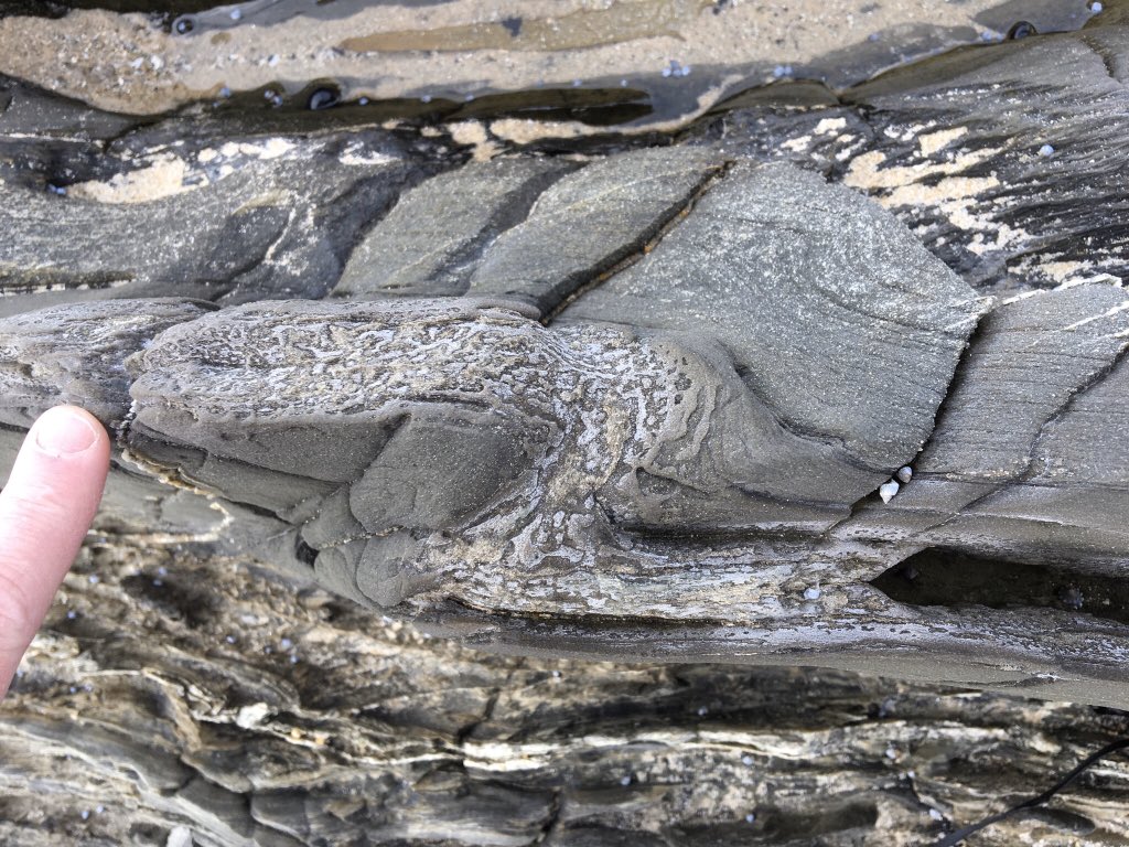 sandramcgeo's tweet photo. It was a Zorro kind of afternoon at #CapeConran today, so many z-vergent parasitic folds π€© for #GEOL30002 to map #geology https://t.co/DlrIUV1aWN