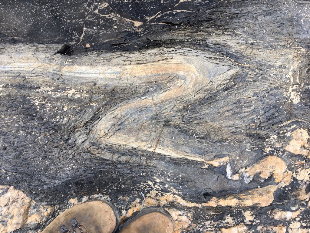 sandramcgeo's tweet photo. It was a Zorro kind of afternoon at #CapeConran today, so many z-vergent parasitic folds π€© for #GEOL30002 to map #geology https://t.co/DlrIUV1aWN