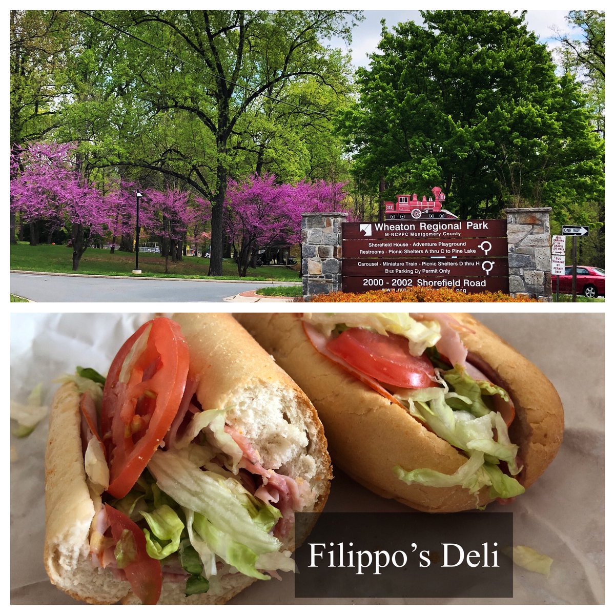 ErinPant's tweet image. Today’s MoCo #ParkPairing 🌳🍽 
#WheatonRegionalPark #Filippos 🇮🇹
@WheatonMD @VisitMoCo