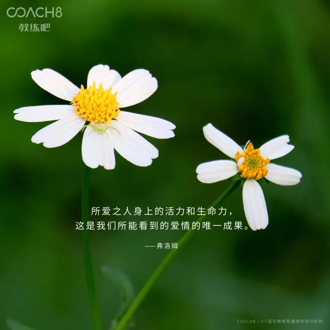 Coach8 tweet media