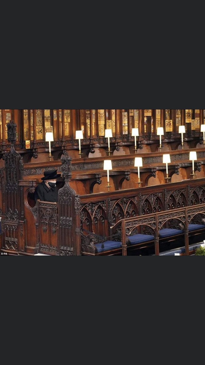 David Lussier ⚜️ tweet media