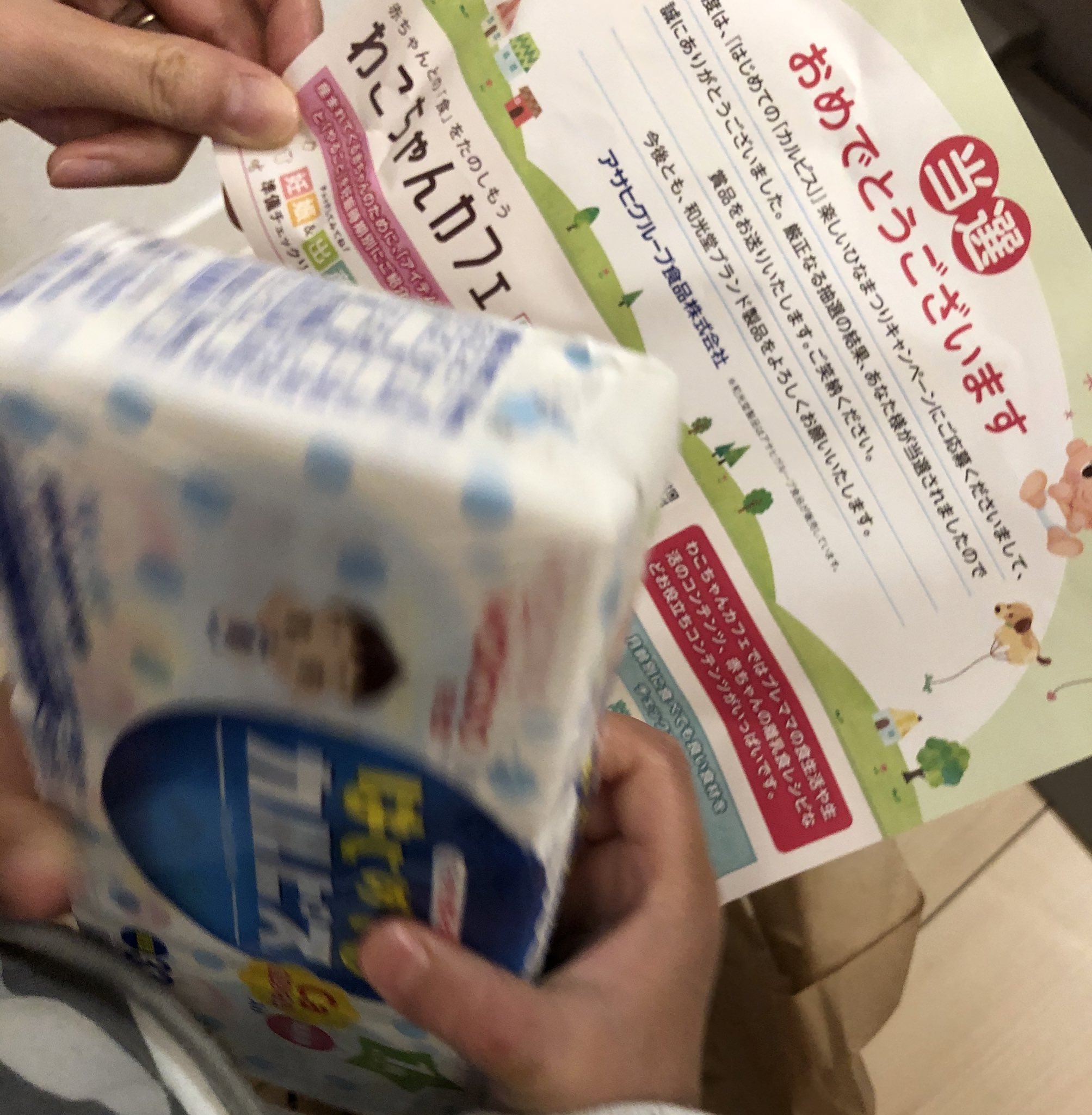 はじめてのカルピスでひなまつり Twitter Search Twitter