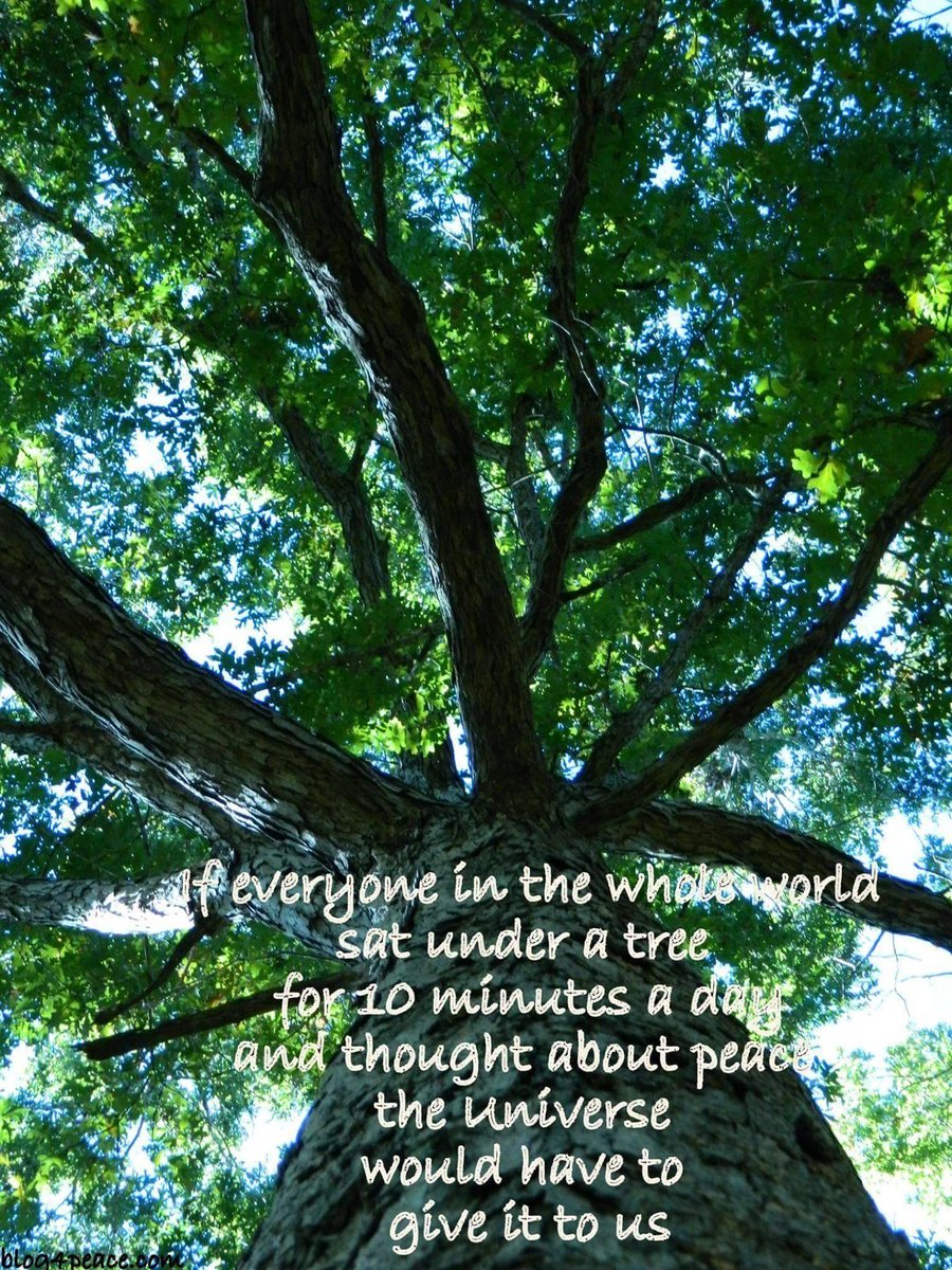 Blog4Peace's tweet image. The Official Site of Blog4Peace: Find a Tree peaceglobegallery.blogspot.com/2021/04/find-t…
