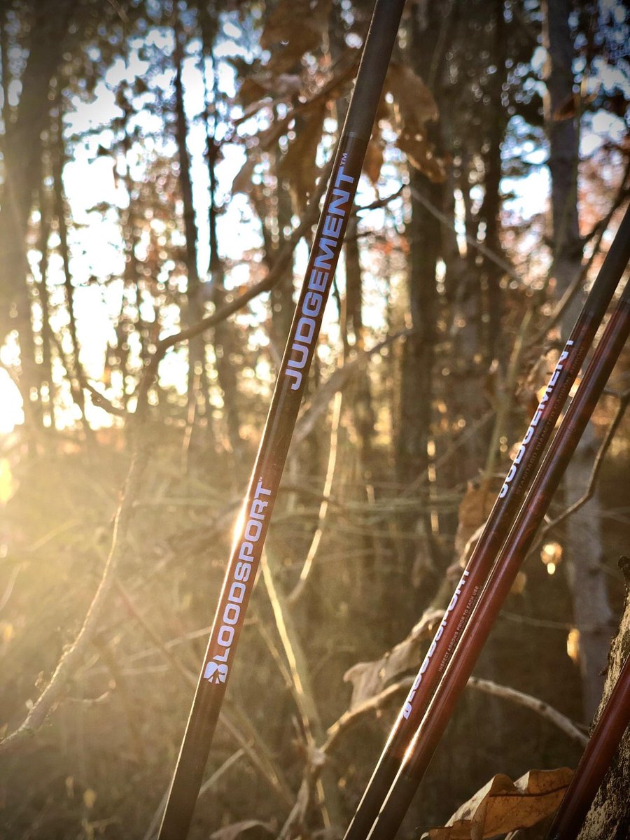 Judgement comes swiftly and definitively. Designed for hunters seeking a fast, lightweight arrow, the Judgement features 100% carbon construction using our proprietary Rugged Wrap process. #BloodsportArchery