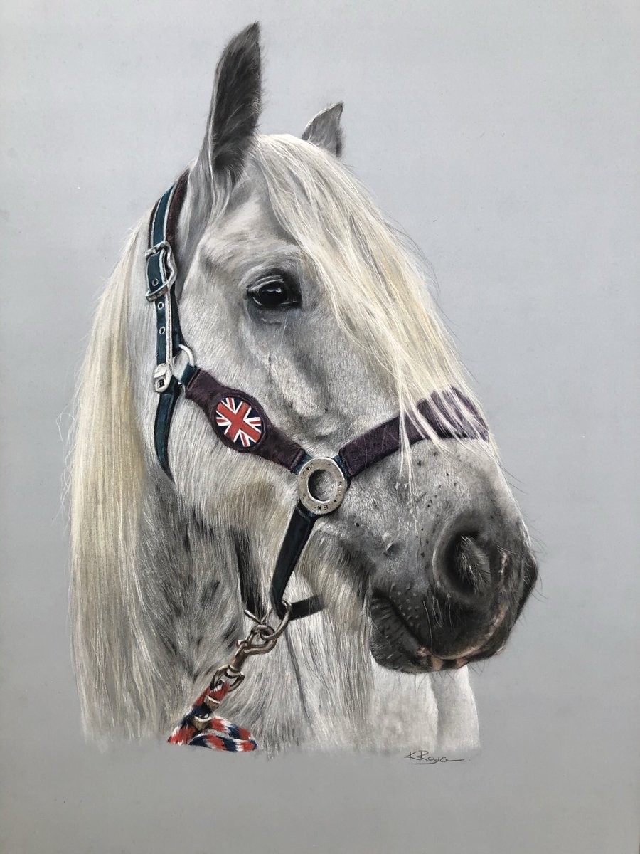 Finally I’m able to show Luther this lovely grey !... portrait drawn with pastel pencils on pastelmat board #equineart #equine #horseart #horseportrait #equineartist #horses #equineartist #drawing #art #artist #animalart #ArtistOnTwitter