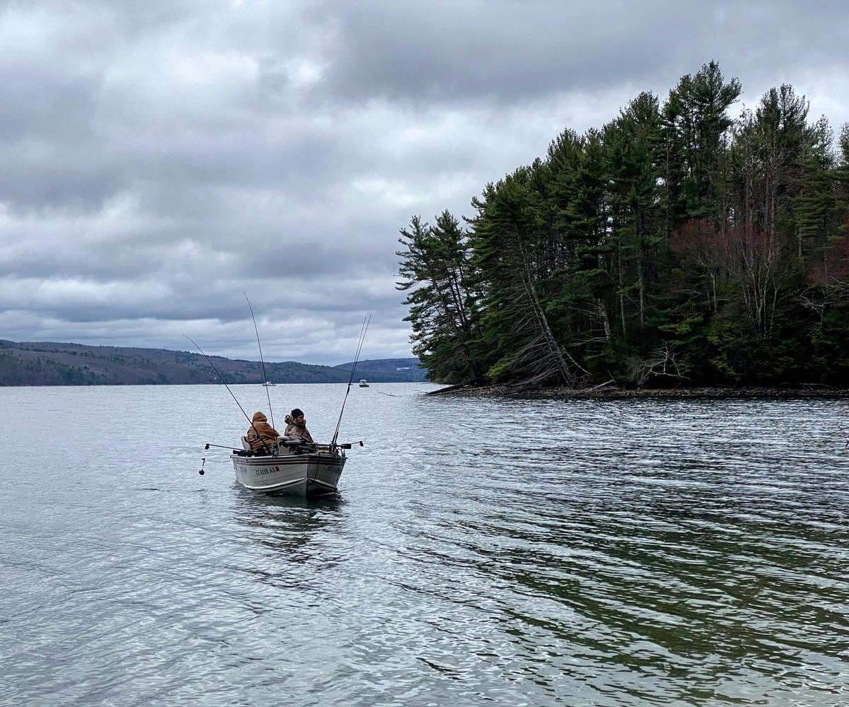 Christopher Evans tweet media