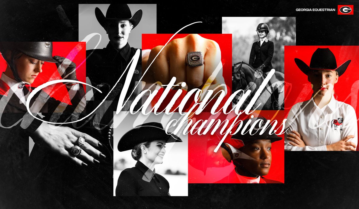 Georgia Equestrian tweet media