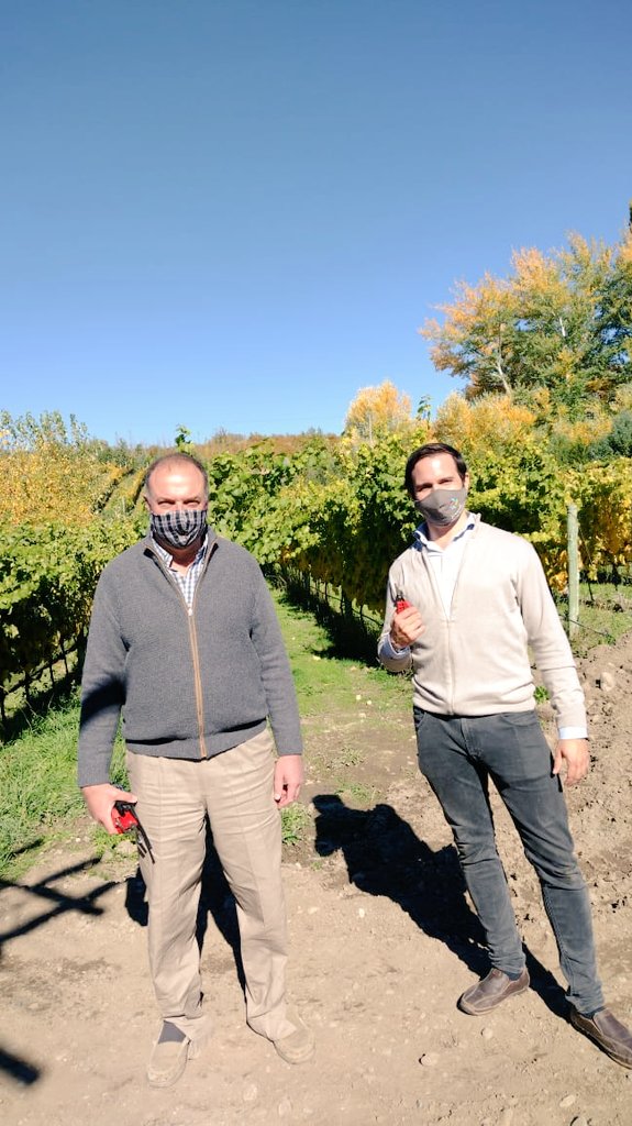 Juan Manuel Peralta tweet media