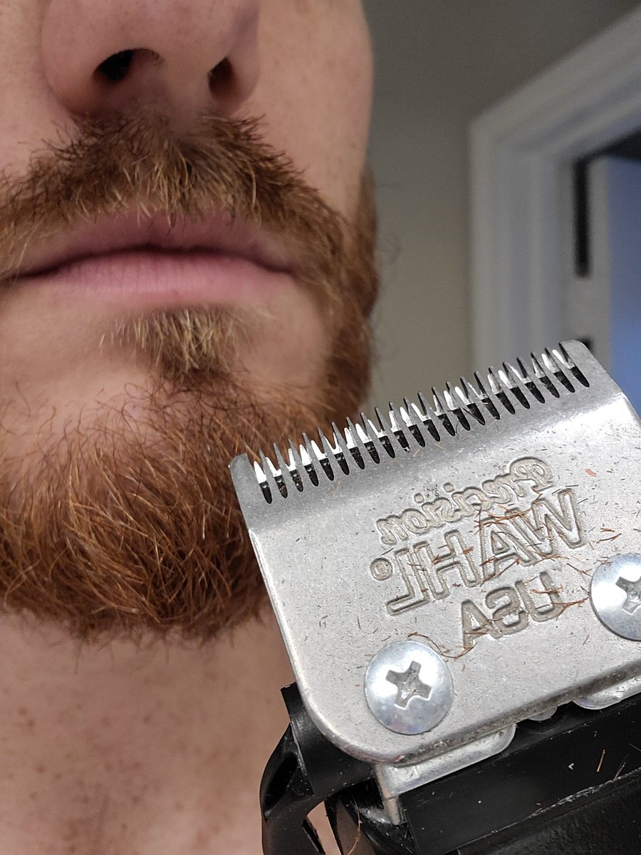 CWWrestling's tweet photo. It is time... #StateStache 2021. https://t.co/hCTdWqnjOe