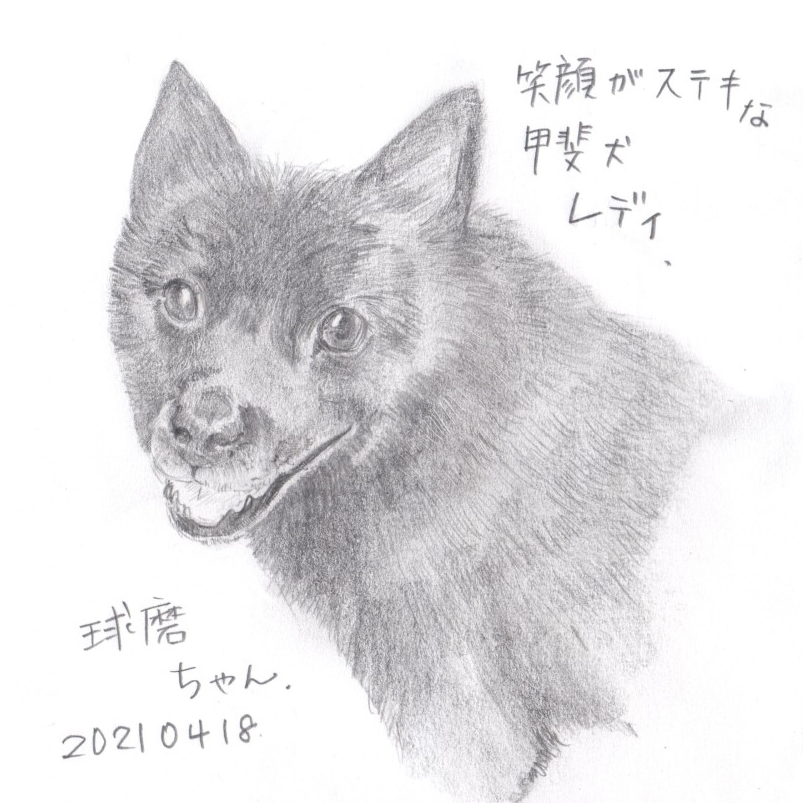 ユウ ドコノコおともだち 甲斐犬のくまちゃん イラスト 犬 甲斐犬 T Co Sjxqszi3cl T Co Uumyji59mc Twitter
