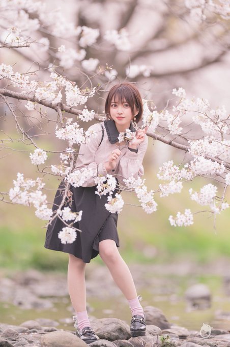 コスプレイヤーひまわりありすのTwitter画像7