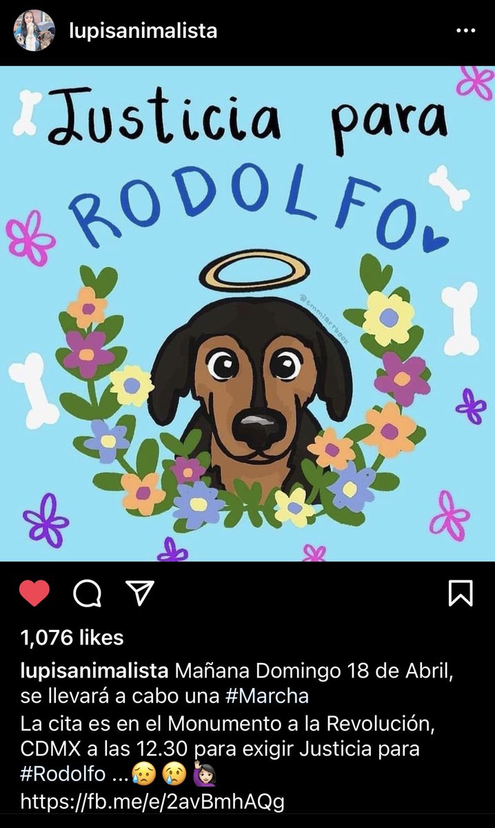 alejand02633379's tweet photo. Domingo 18 de abril a las 12:30 en el Monumento a la Revolución CDMX ‼️marcha ‼️ #JusticiaParaRodolfo #JusticiaParaRodolfo #JusticiaParaRodolfo #JusticiaParaRodolfo #JusticiaParaRodolfo https://t.co/rRrsrtX4dC