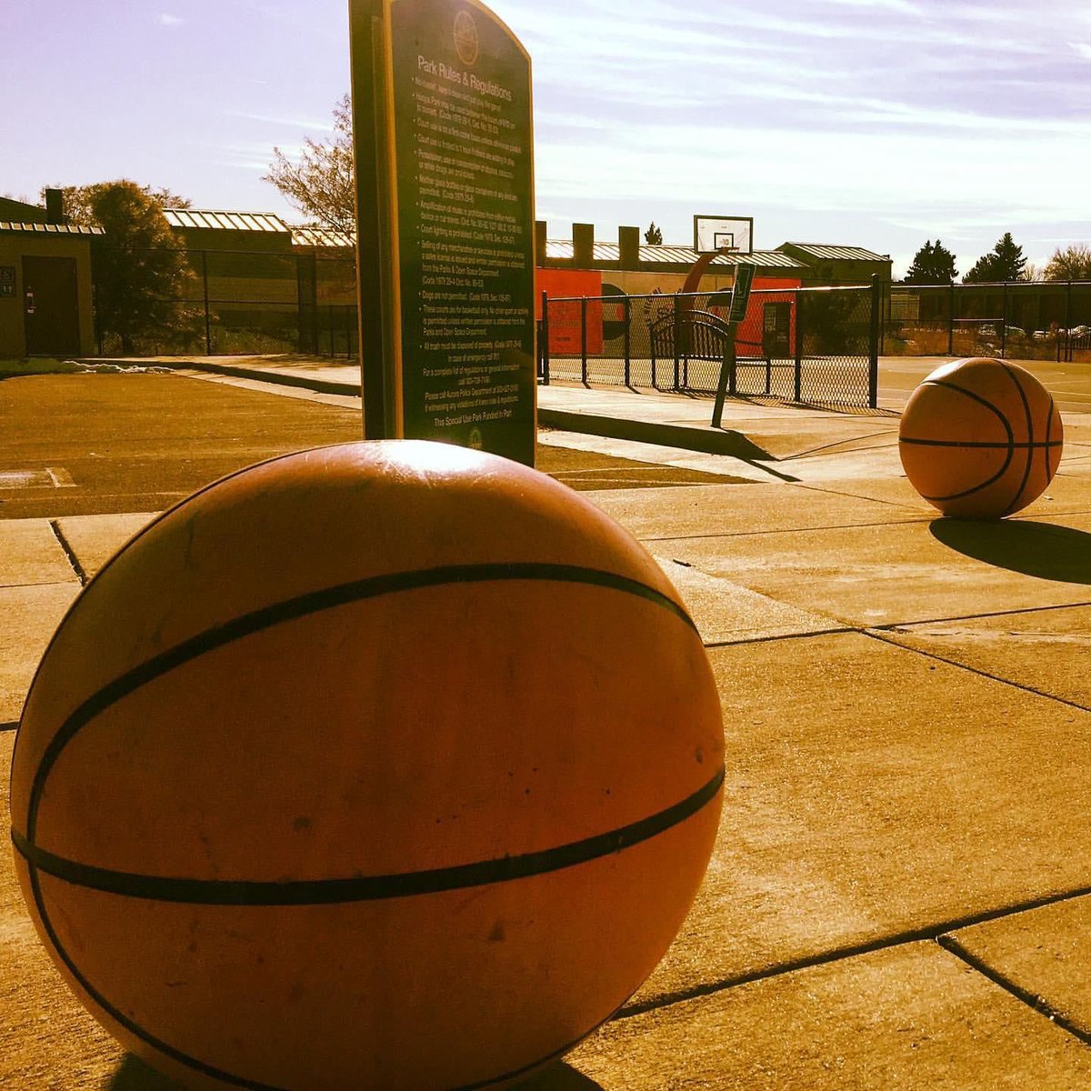 Friends of Springbank Secondary College tweet media