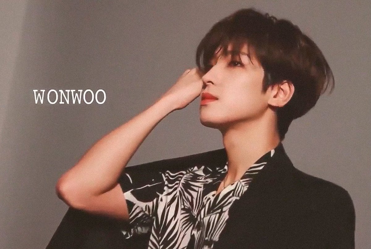 low quality wonwoo (@lq_wonu) on Twitter photo 