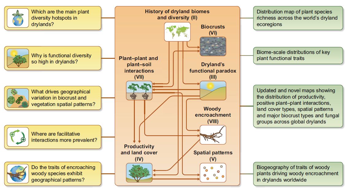Fernando T. Maestre (@ftmaestre) on Twitter photo Very excited to share my first #TansleyReview in <a href="/NewPhyt/">New Phytologist</a> doi.org/10.1111/nph.17… We combined a literature review w/ the analysis of global standardized databases & remote sensing products to synthesize our understanding of the biogeography of global drylands. Key highlihts are: Very excited to share my first #TansleyReview in <a href="/NewPhyt/">New Phytologist</a> doi.org/10.1111/nph.17… We combined a literature review w/ the analysis of global standardized databases & remote sensing products to synthesize our understanding of the biogeography of global drylands. Key highlihts are: