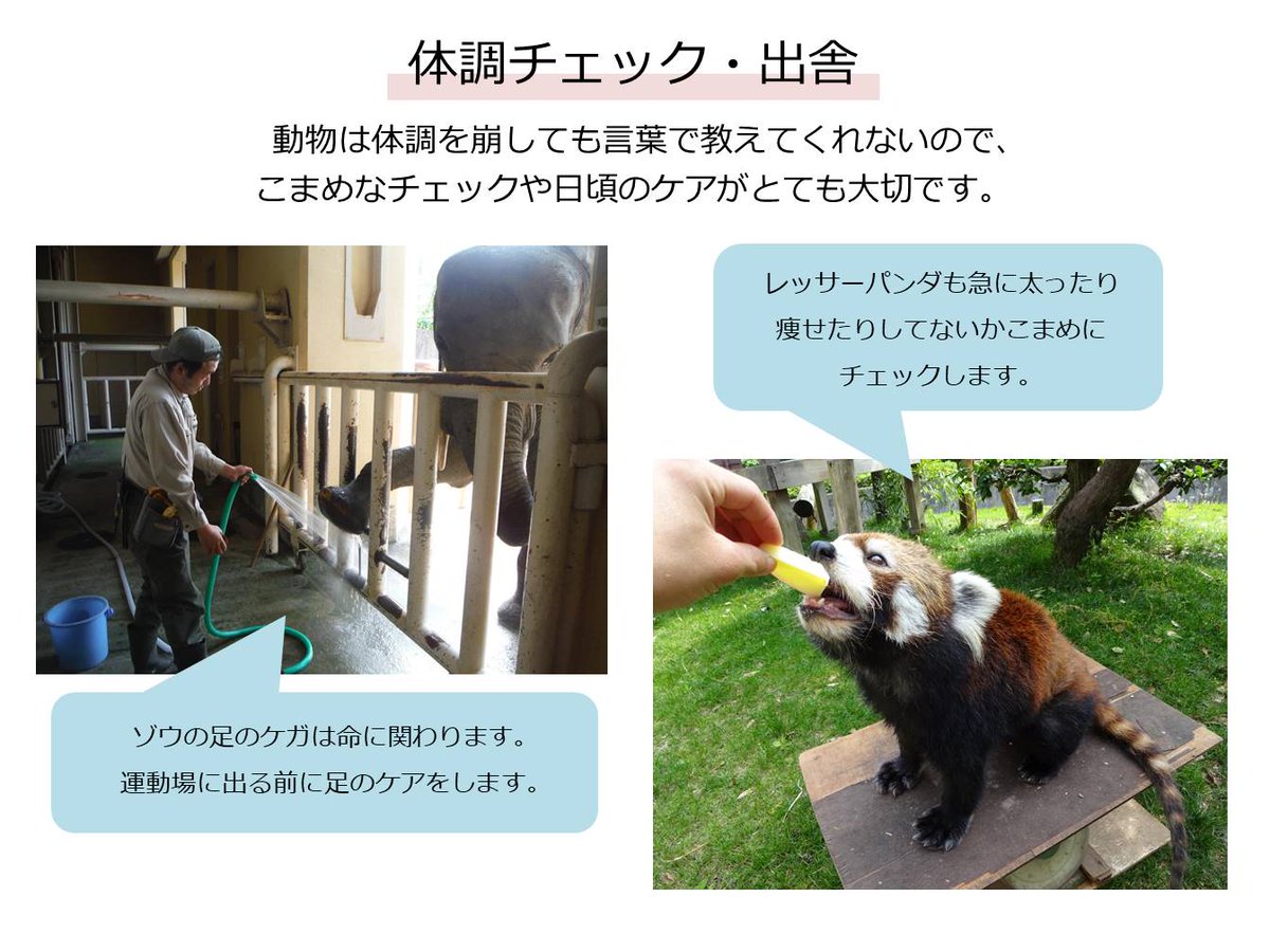 4月19日は 飼育 し い く の日 です 動物園の役割や飼育係の仕事の内容を少しでも多くの方に知っていただくために 解説パネ 21 04 18 安佐北区の動植物園 水族館 広島市安佐動物公園 まいにちを豊かに りっち