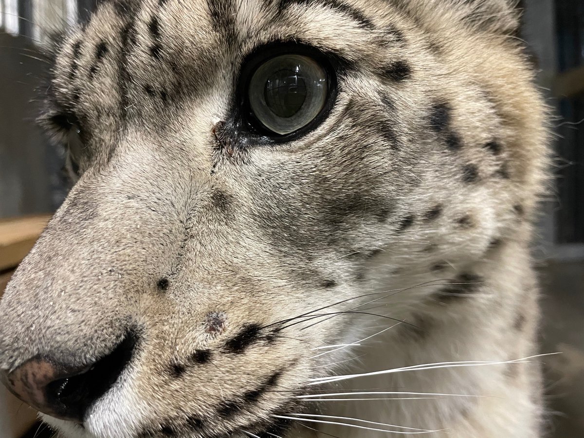 円山 動物園