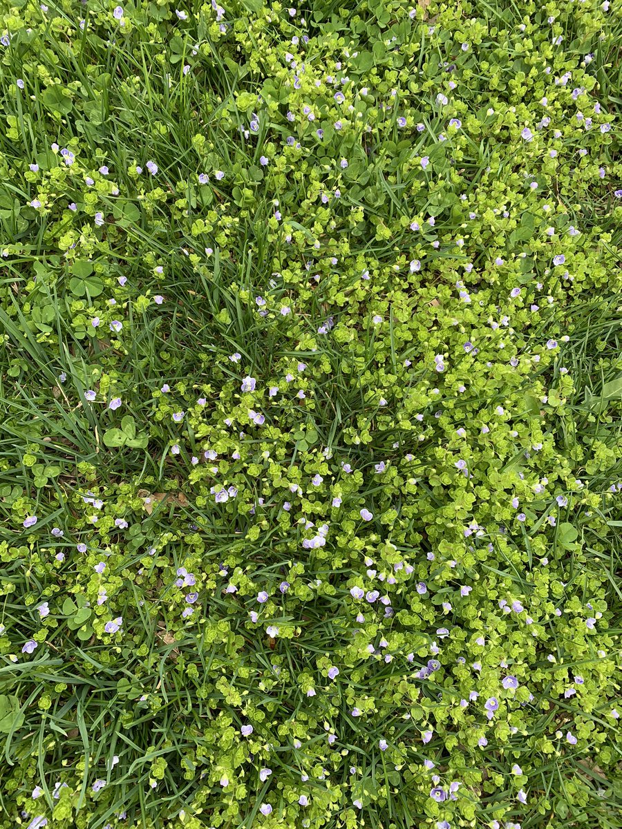 allibesh's tweet photo. Hello to you all and hello to spring https://t.co/fwfwi1QGHi