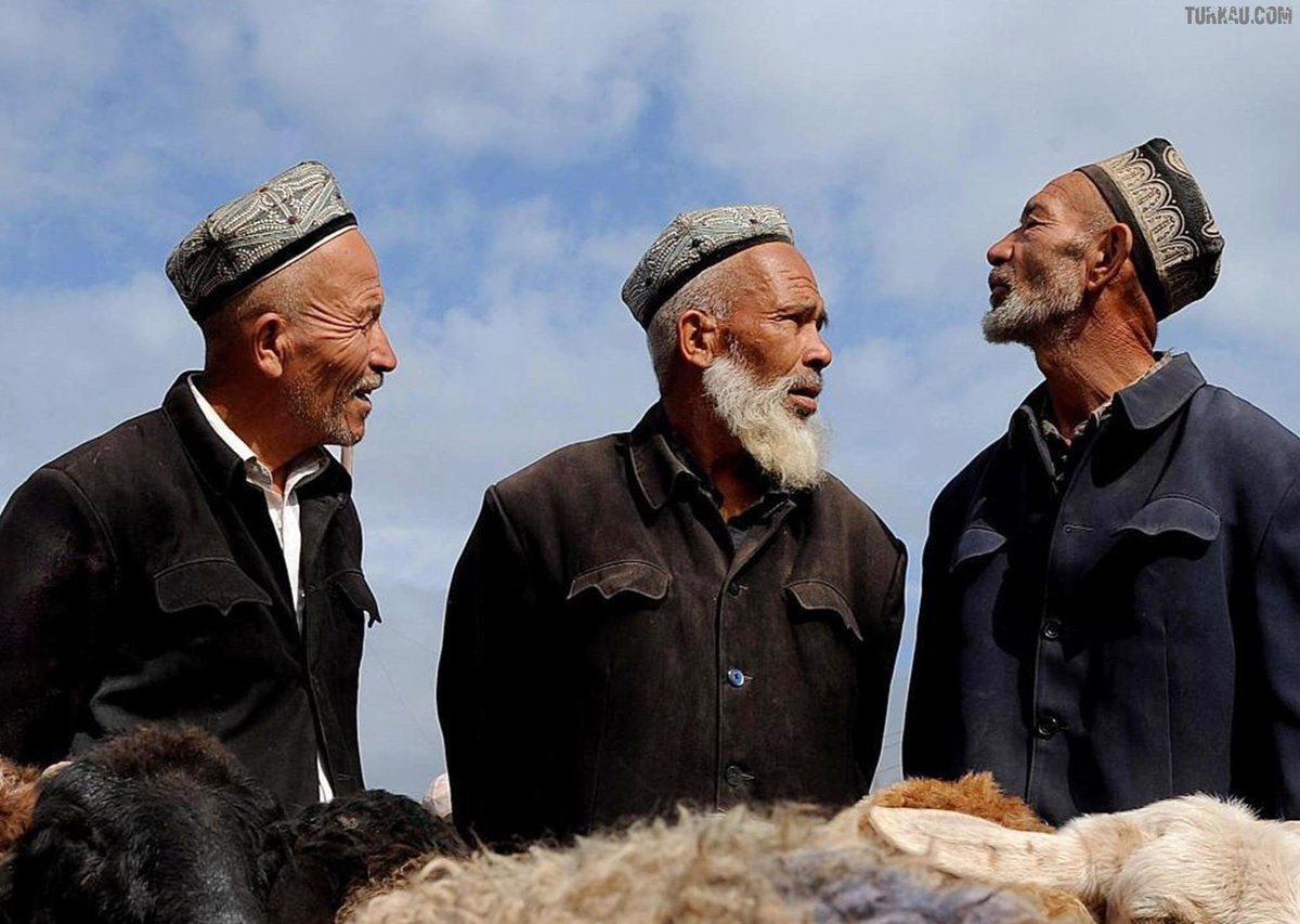 уйгуры суар. таджикистанские уйгуры. народ уйгуры в китае. народ уйгуры в китае. синьцзян-уйгурский уйгуры.