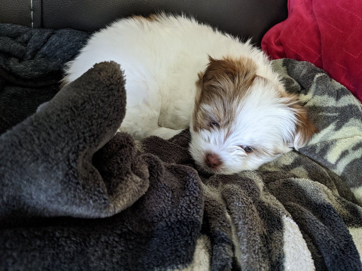 Thea got a new sister yesterday.  World, please say hello to Lola!