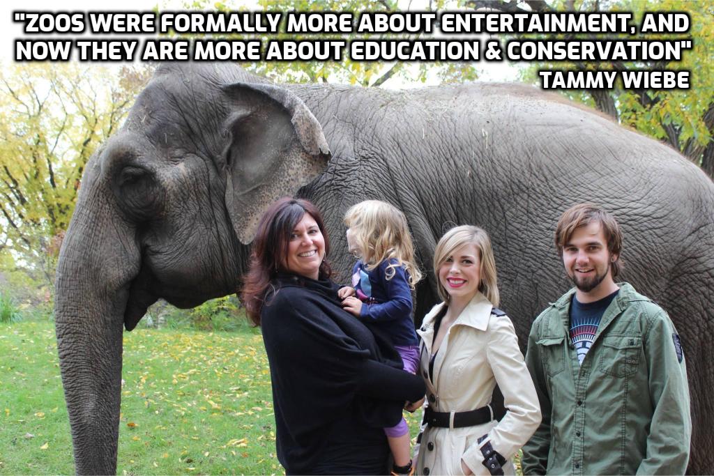 Nancy_A_L's tweet photo. Someone should educate @tammywiebe Dir @BuildingOurZoo at EVZ & tell her standing this close to an elephant with an infant is irresponsible. Elephants are wild animals & protected contact is important when they're held in captivity. #recipe4disaster #notAProp #FreeLucy #Sanctuary https://t.co/q7fEj2YaG3