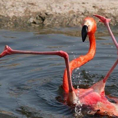 @karapaia @wasaburoo ズコー‼️^ ^ 