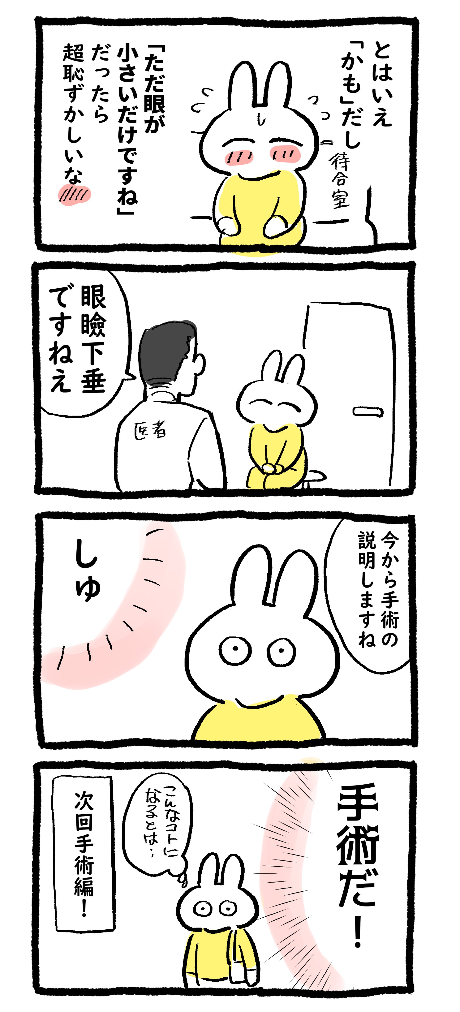 たまごひめ 単行本発売 On Twitter 漫画家 目の手術をするの巻 Https T Co Rxgrzdvaz3 Twitter