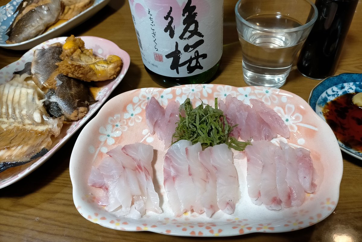 伊豆のめじなくん Mejinakko5 Twitter 伊豆のめじなくん Mejinakko5 Twitter